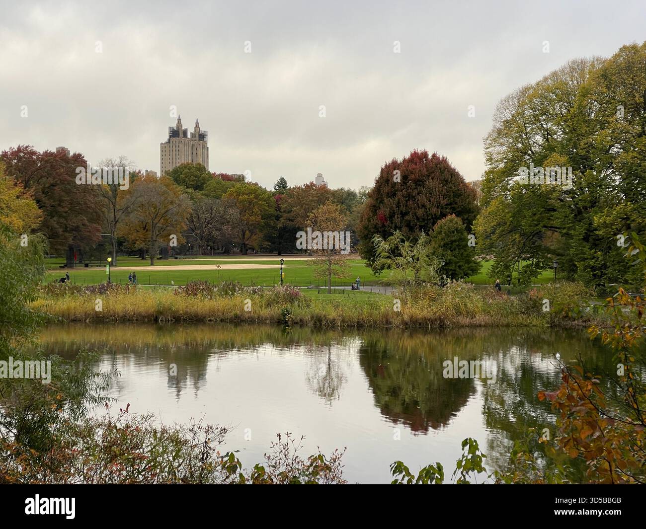 Il laghetto delle tartarughe in una croccante mattina autunnale, una tranquilla fuga nel cuore di New York City. - Immagine stock catturata con smartphone