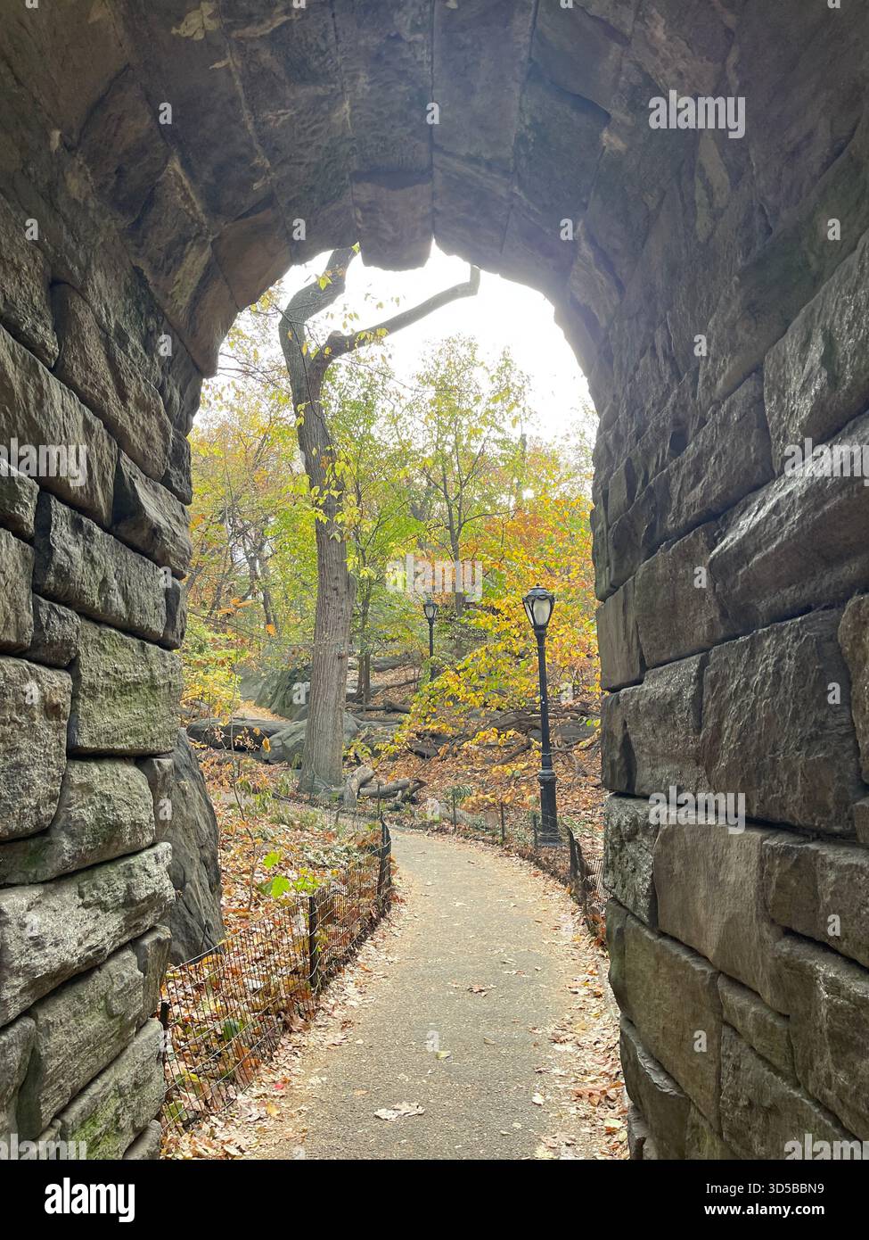 Un'incantevole porta ad arco segna l'ingresso del Ramble, la tranquilla fuga nel bosco di Central Park. - Immagine stock catturata con smartphone