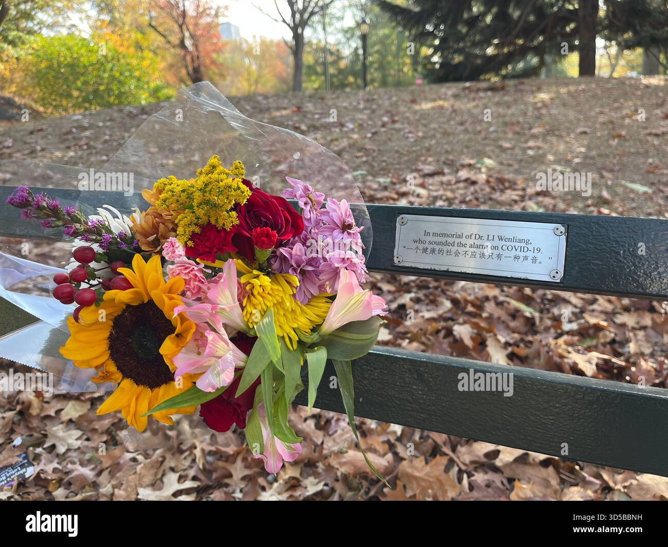 Un sentito tributo floreale poggia su una panchina di Central Park, che mescola il ricordo con la bellezza della natura. - Immagine stock catturata con smartphone