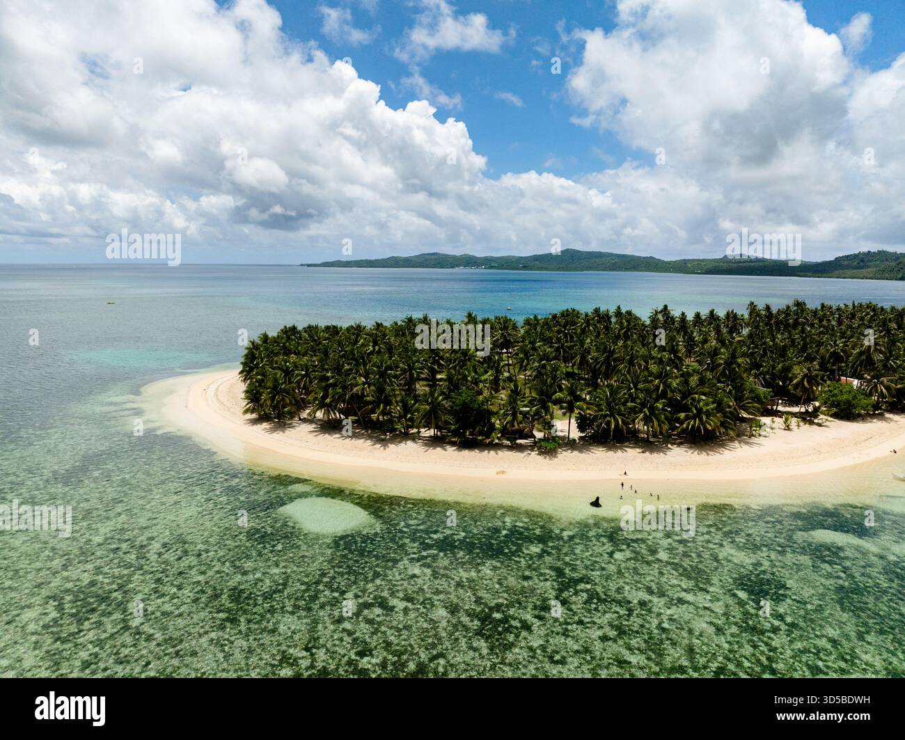 Fitte palme lungo la costa sabbiosa che si affaccia su acque turchesi poco profonde con barriera corallina e vista all'orizzonte. Siargao, Filippine. Casa desiderio. Foto Stock