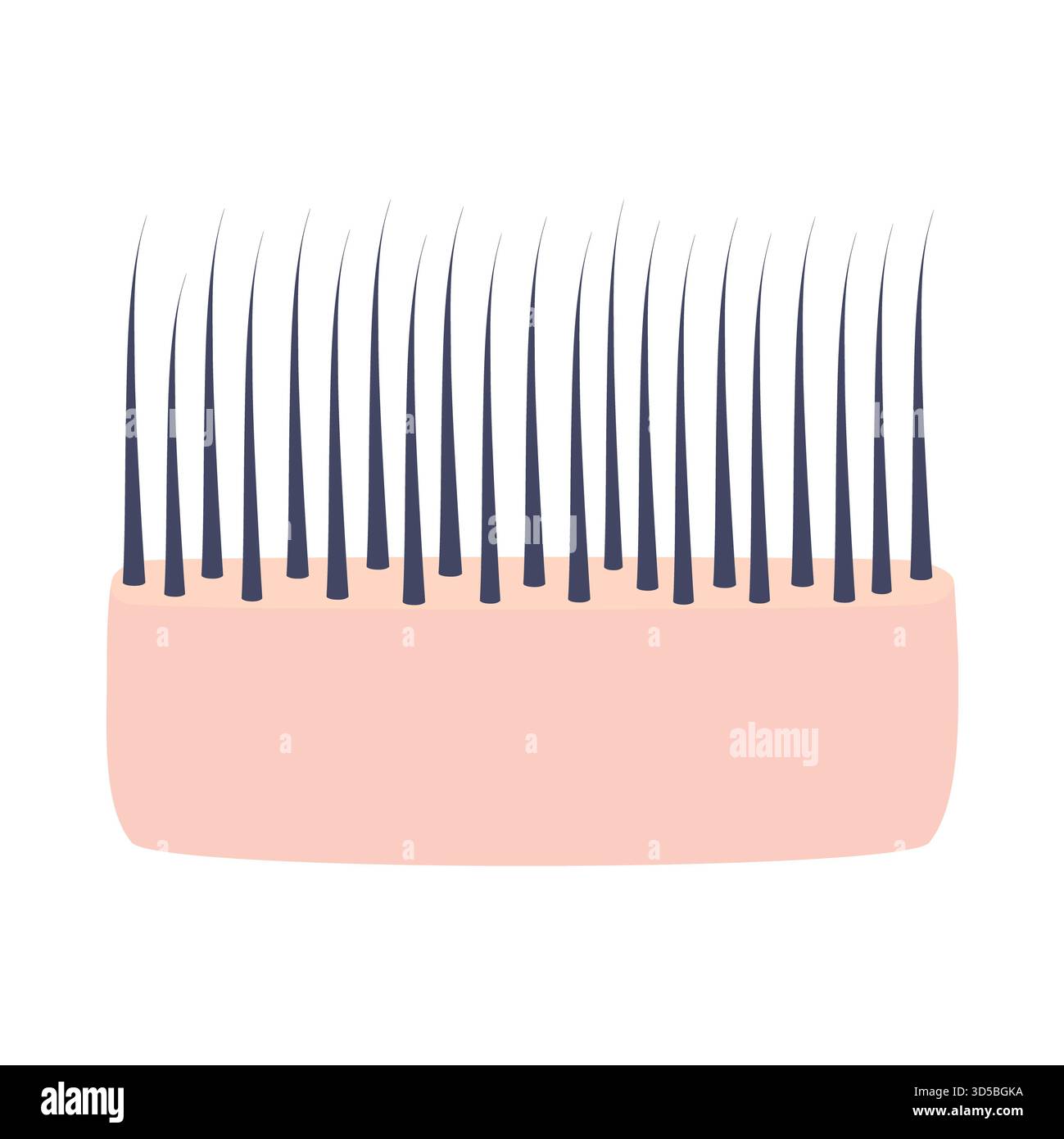 Capelli fini, illustrazione concettuale. Foto Stock