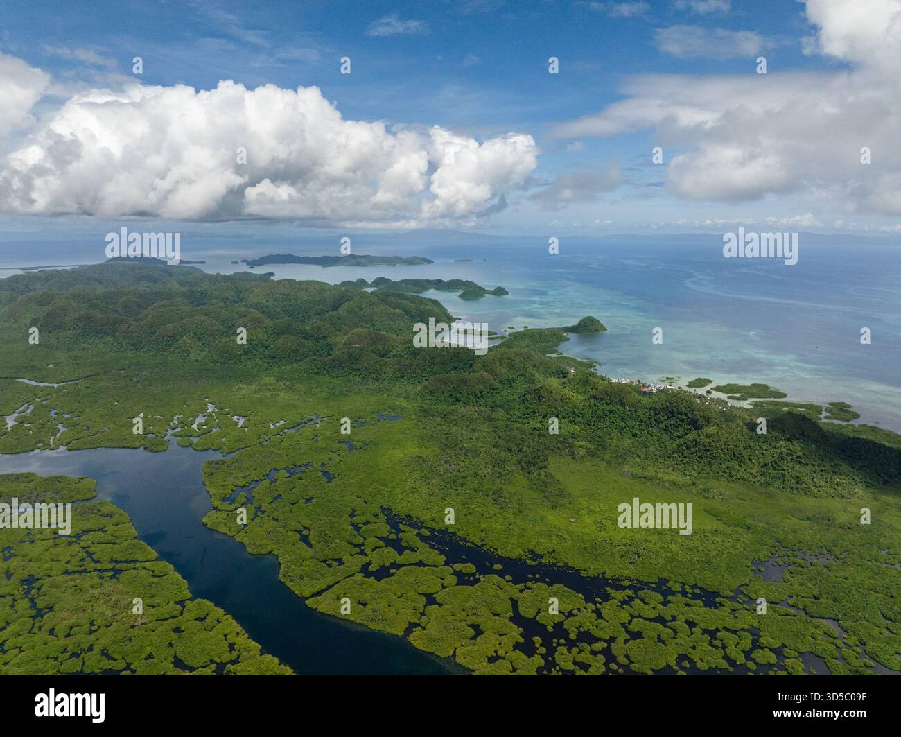 Verdi colline e piccole isole lungo la costa delle mangrovie sotto un cielo nuvoloso. Siargao, Filippine. Foto Stock