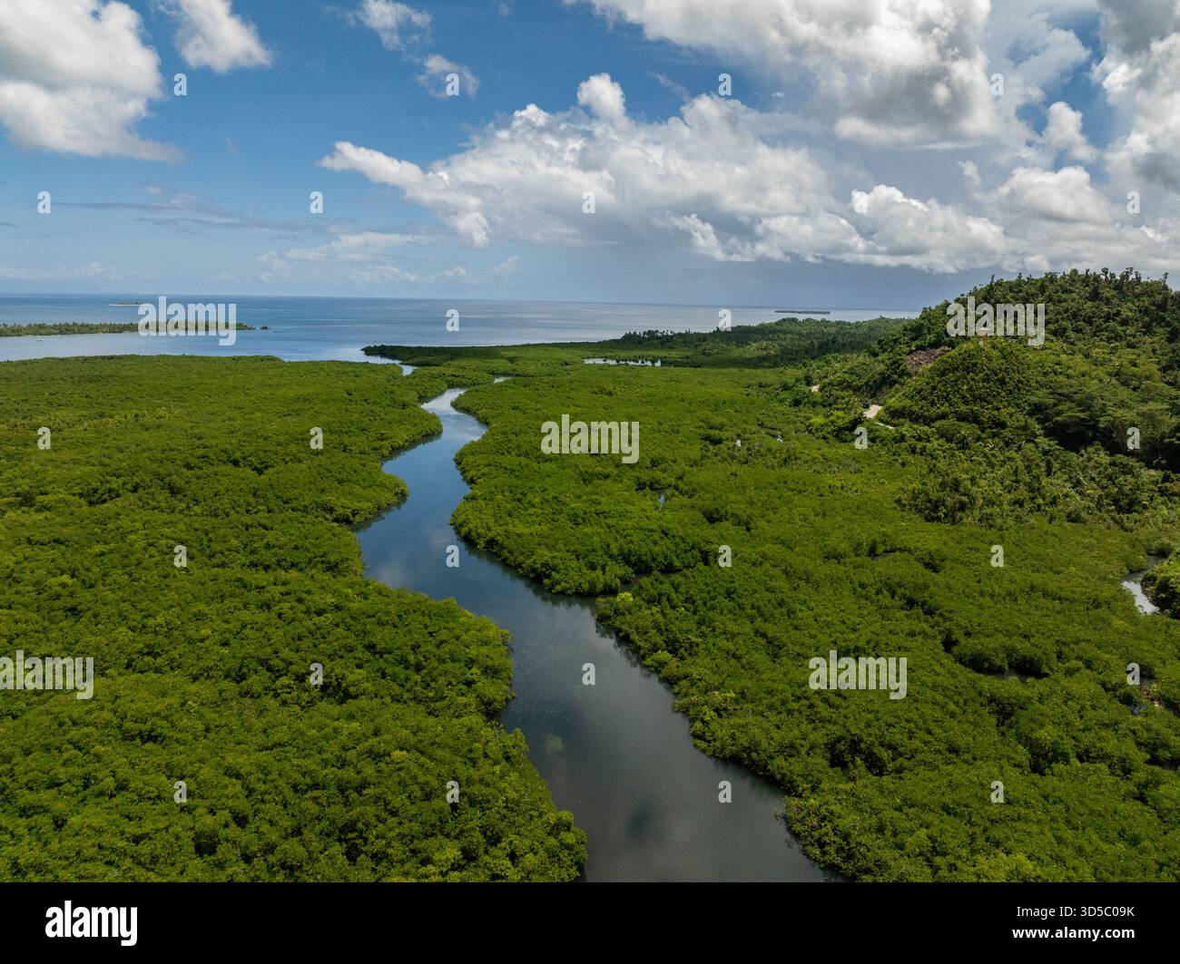 Canale del fiume di mangrovie che si snoda verso il mare con colline verdi circostanti. Siargao, Filippine. Foto Stock