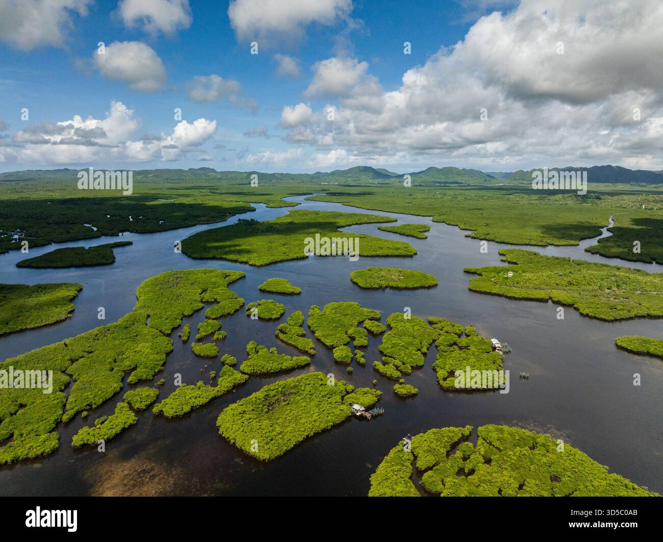I torrenti si snodano attraverso una vasta zona umida di mangrovie che si estende verso la costa e il mare aperto. Siargao, Filippine. Foto Stock