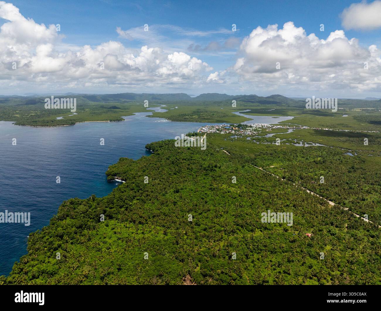 Costa tropicale che mostra la foresta di mangrovie e la vicina città costiera con montagne in lontananza. Siargao, Filippine. Foto Stock