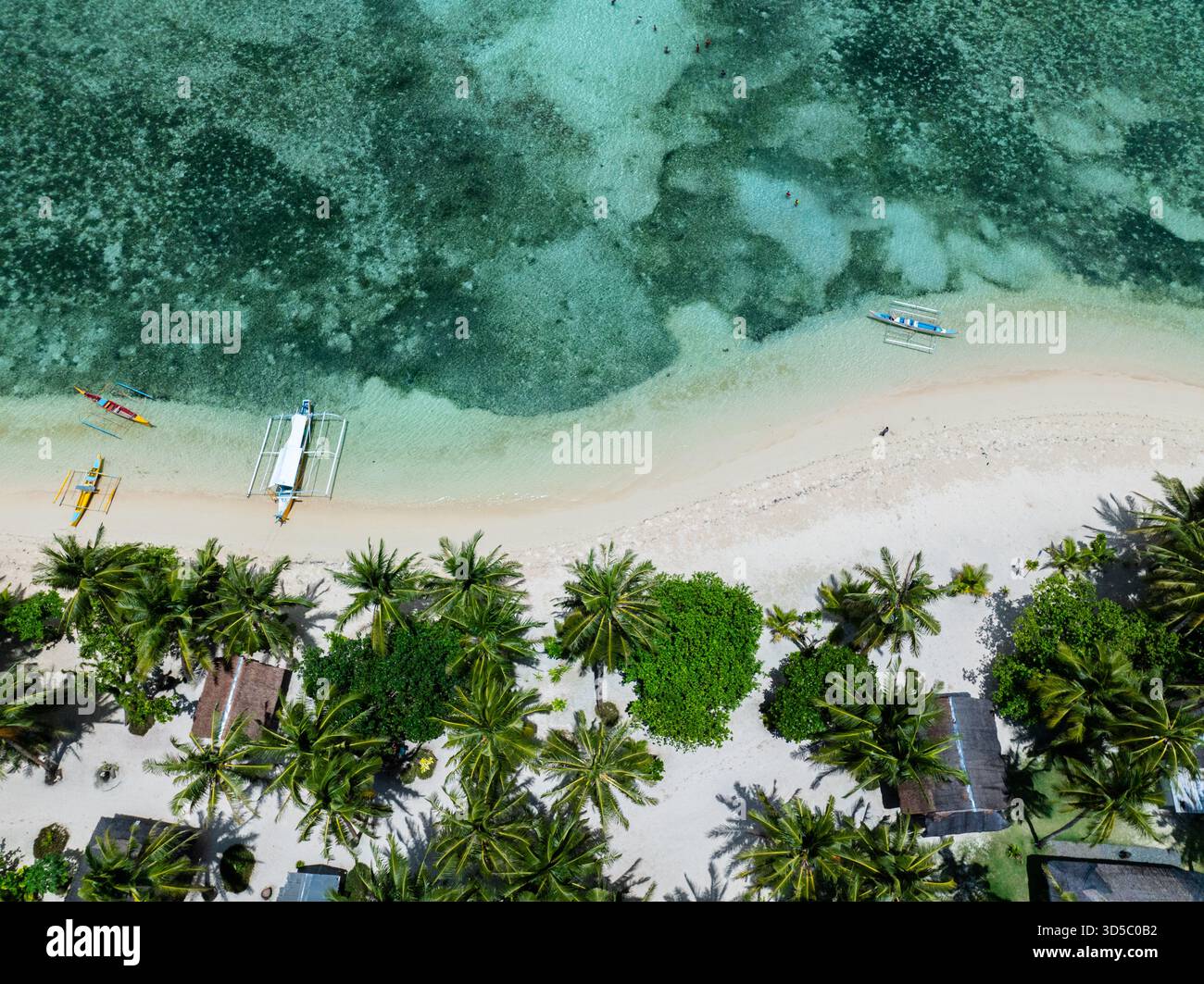 Palme sulla spiaggia sabbiosa con barche tradizionali lungo acque turchesi e cristalline vicino alla barriera corallina. Siargao, Filippine. Casa desiderio. Foto Stock
