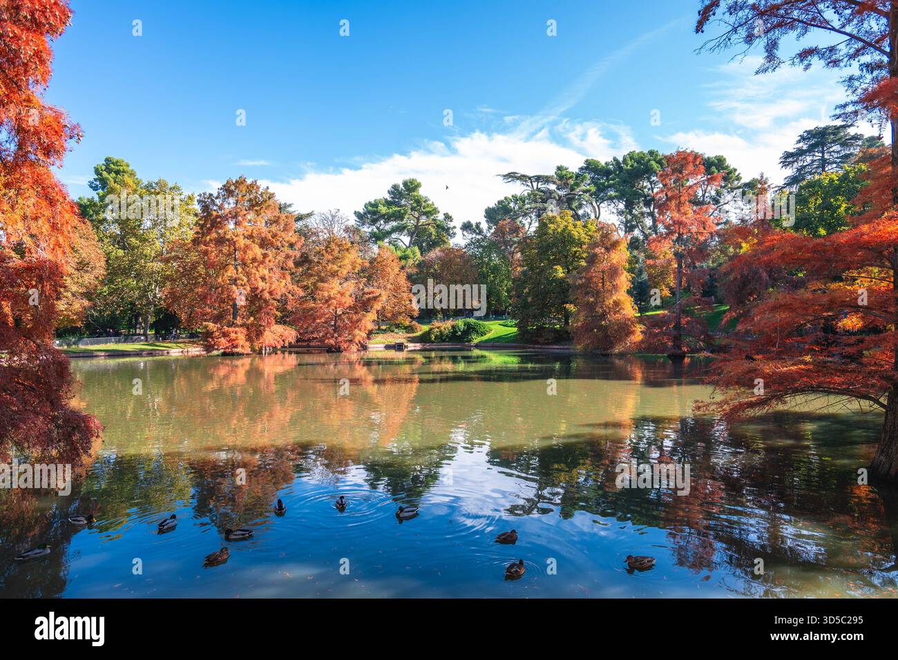Scenario del grande stagno di Buen Retiro, situato nel Parco del Retiro a Madrid, Spagna. Foto Stock