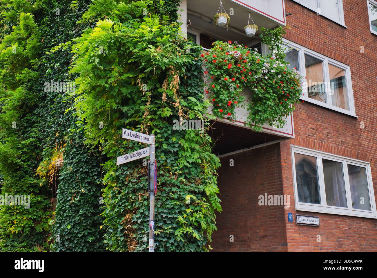 Un edificio affascinante con lussureggianti vigne verdi e vibranti fiori appesi al balcone di una città. Foto Stock