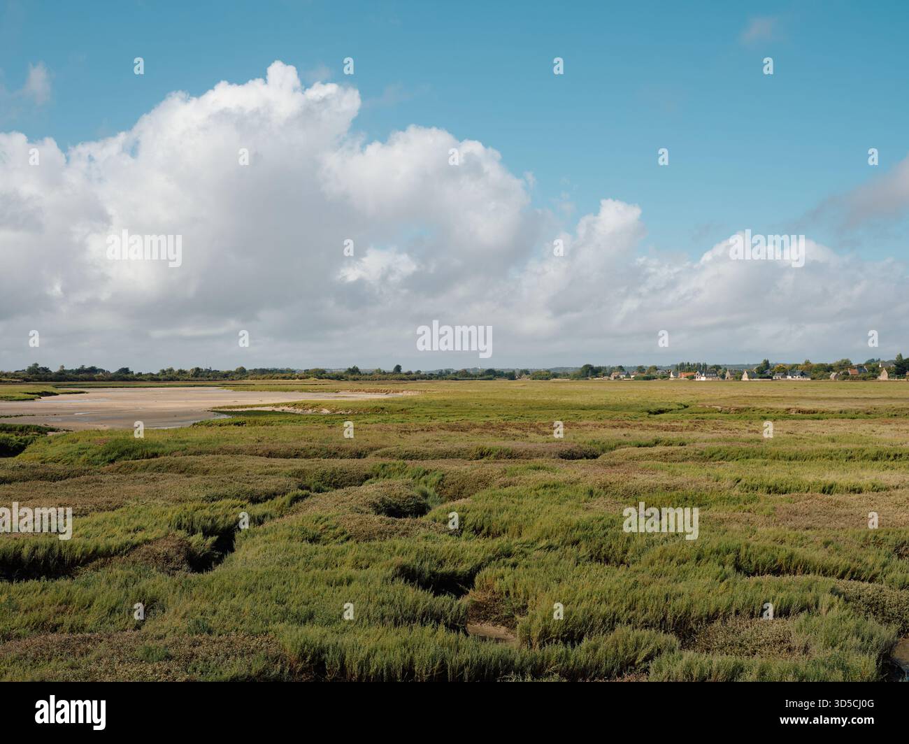 Il paesaggio estivo paludoso di acqua salata di Portbail, Normandia Francia UE Foto Stock