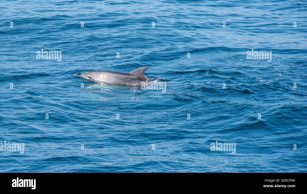 Gita in barca sulla Costa del Sol e paesaggi 2023 Foto Stock