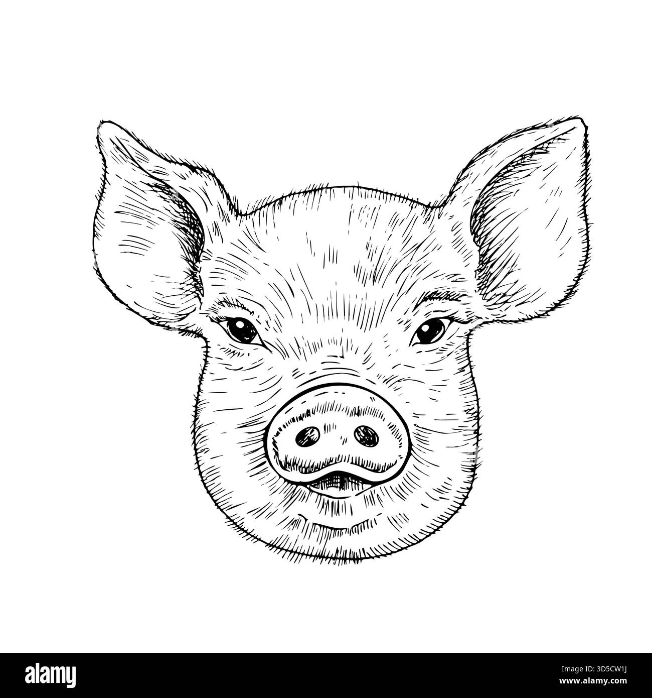 Testa vettoriale di maiale con corna. Illustrazione grafica a inchiostro di carne di maiale, isolata sullo sfondo. Schizzo della linea disegnata a mano. Per designer, stampe, logo, icona Illustrazione Vettoriale