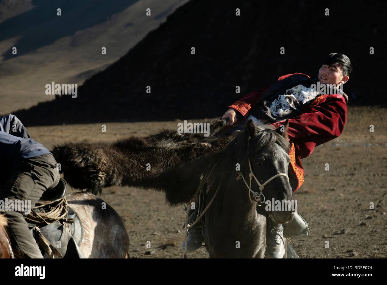 Uomo kazako che tira carcassa da cavallo durante una partita di kokpar al festival dell'aquila, provincia di Bayan-Olgii, Mongolia Foto Stock