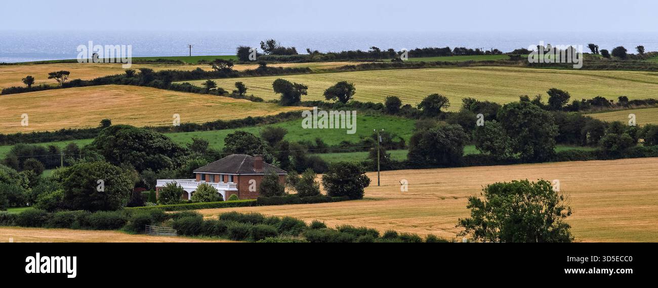 Una vista pittoresca di un paesaggio rurale con colline ondulate, campi dorati in attesa di raccolto e una casa solitaria. Foto Stock