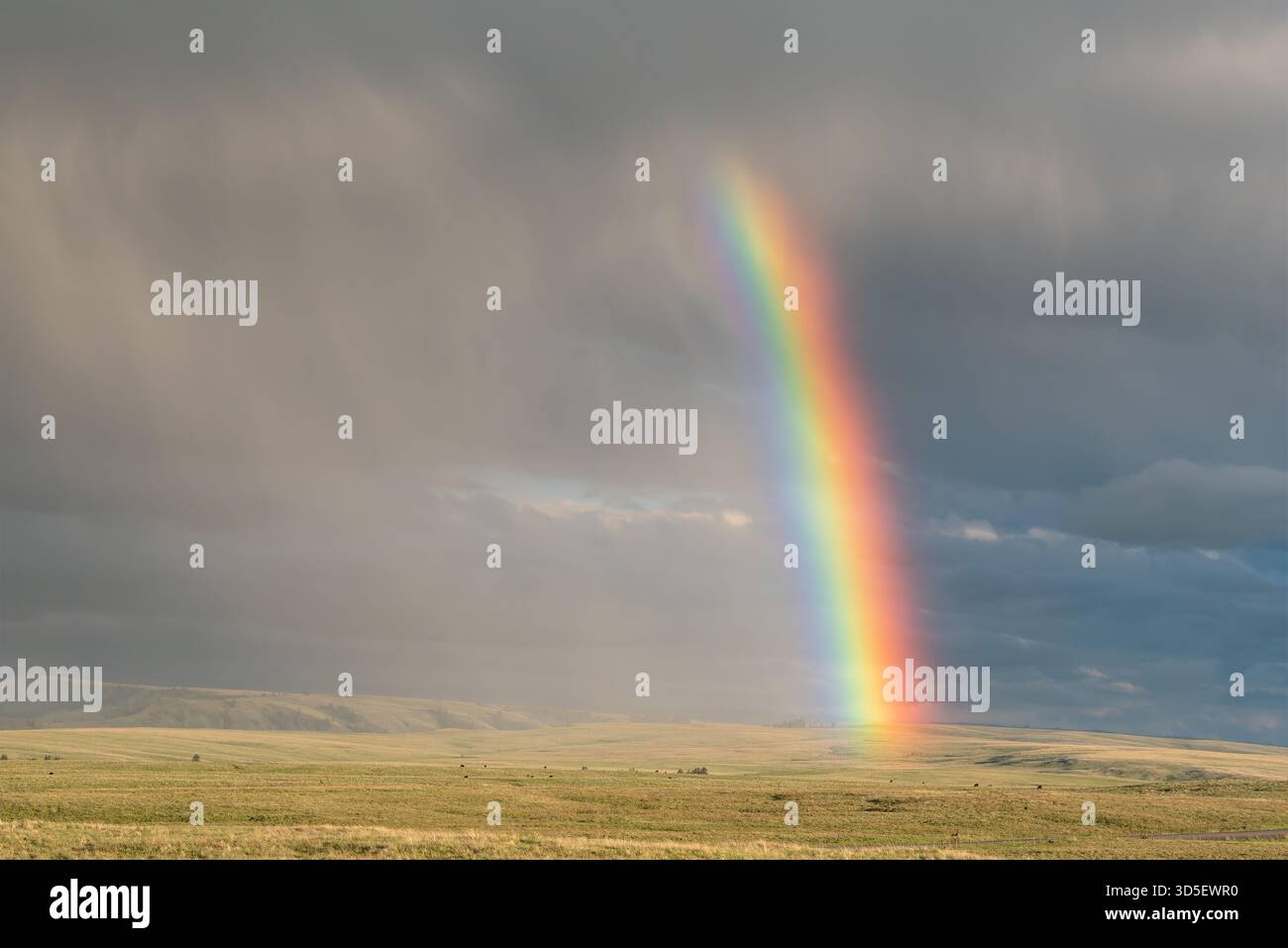 Rainbow, TNC Zumwalt Prairie Preserve, Oregon. Foto Stock