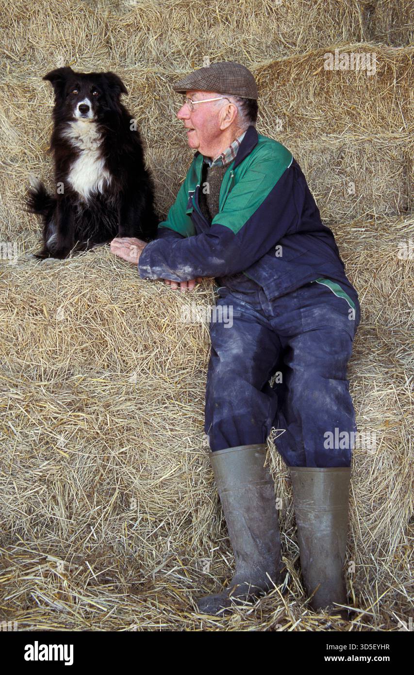 Farmer e il suo cane da pastore, 'il migliore amico dell'uomo', Regno Unito Foto Stock