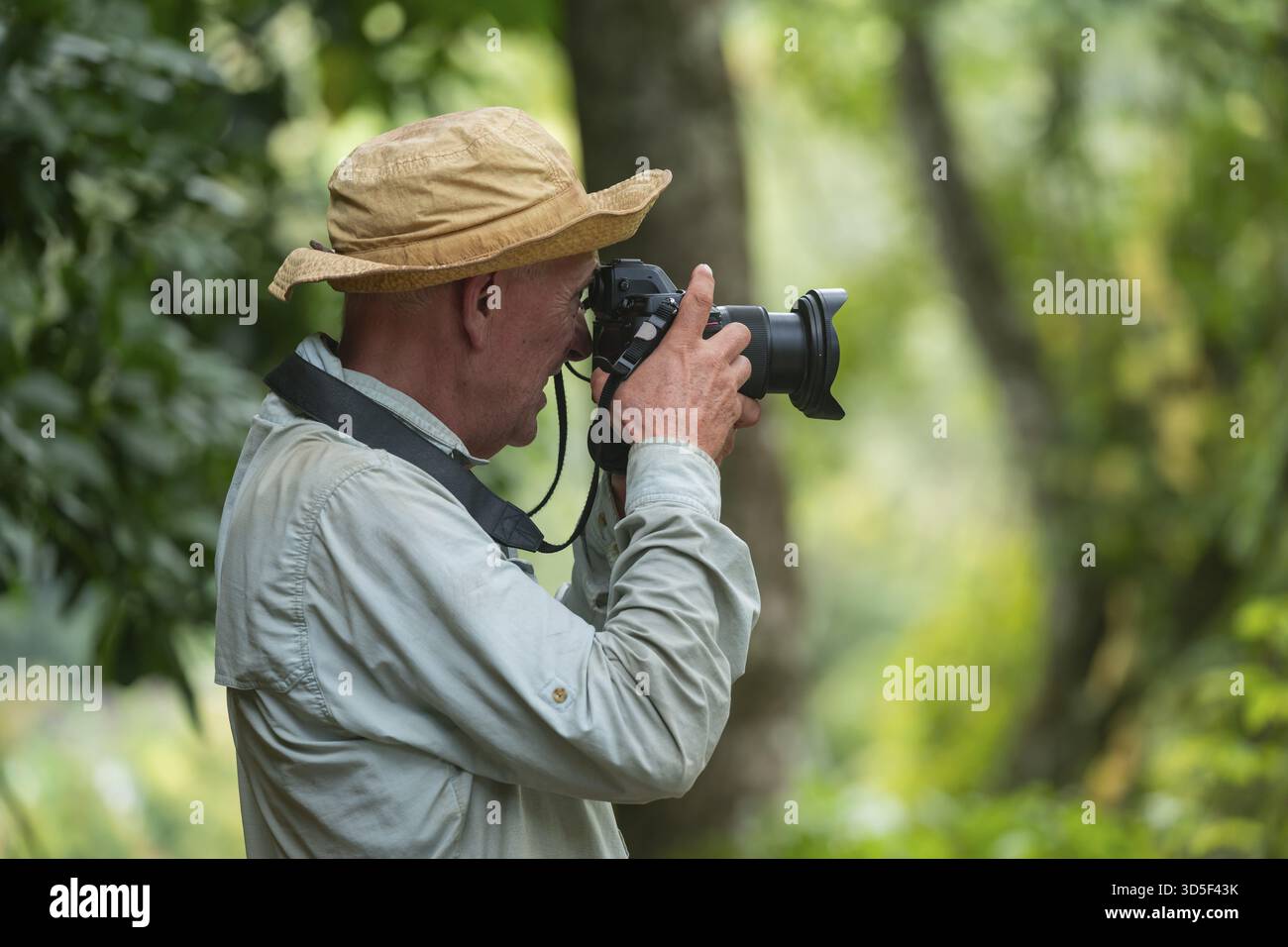 Fotografo che scatta foto, Amani Nature Forest Reserve, Eastern Usambara Mountains, Tanga, Tanzania Foto Stock