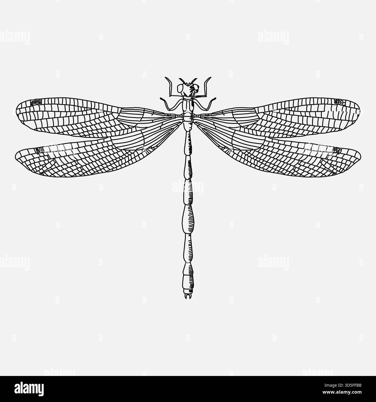Line art, libellula isolata, illustrazione in bianco e nero, illustrazione della schiusa degli animali Illustrazione Vettoriale