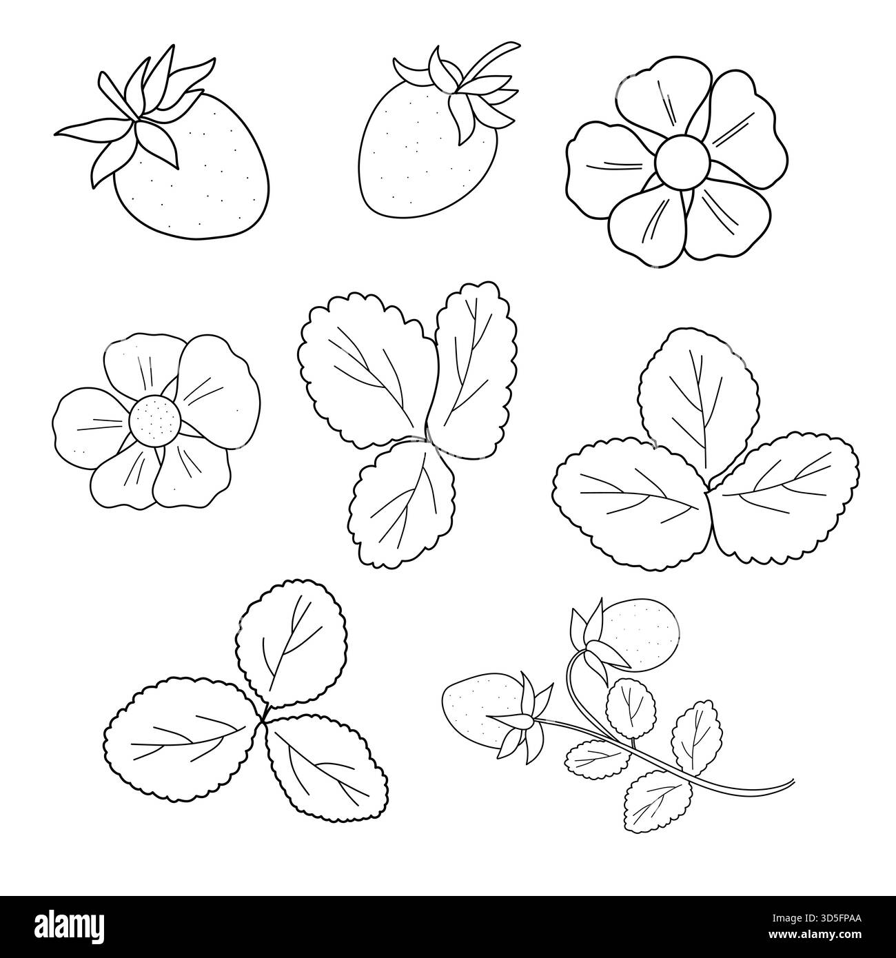 Set vettoriale con fragole, foglie, fiori e ramoscelli. Disegni a linee in bianco e nero su sfondo bianco. Perfetto per design, libri da colorare, confezioni e stampe Illustrazione Vettoriale