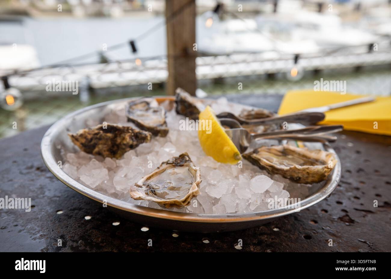 Un piatto di ostriche in un ristorante nel porto di Larros, Francia Foto Stock
