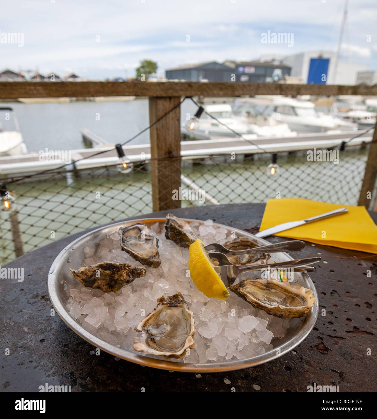 Un piatto di ostriche in un ristorante nel porto di Larros, Francia Foto Stock