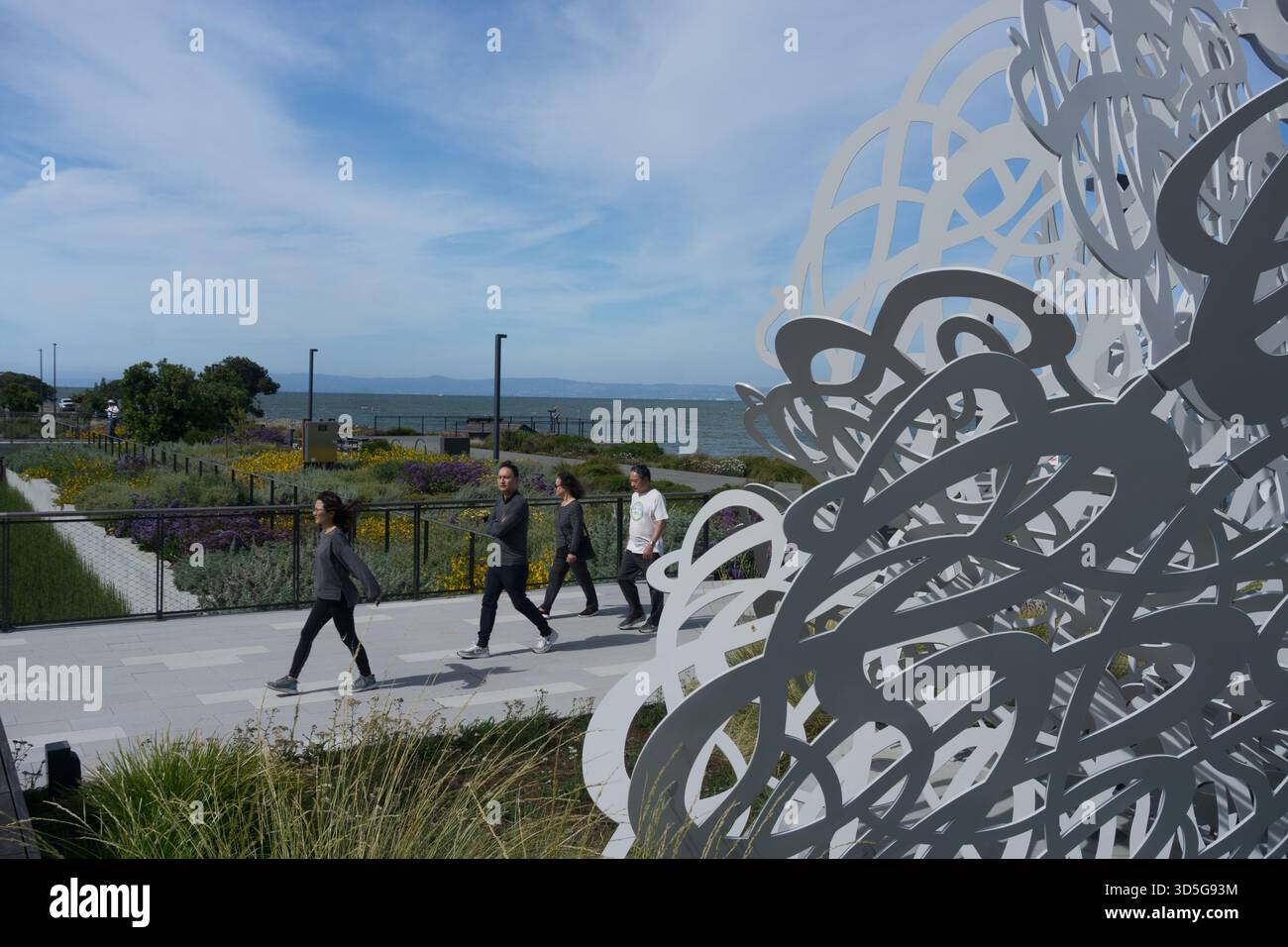 Vista della scultura Alyson Shotz al Bay Trail presso il campus tecnologico Meta's Reality Labs a Burlingame, San Francisco Bay, California. Foto Stock