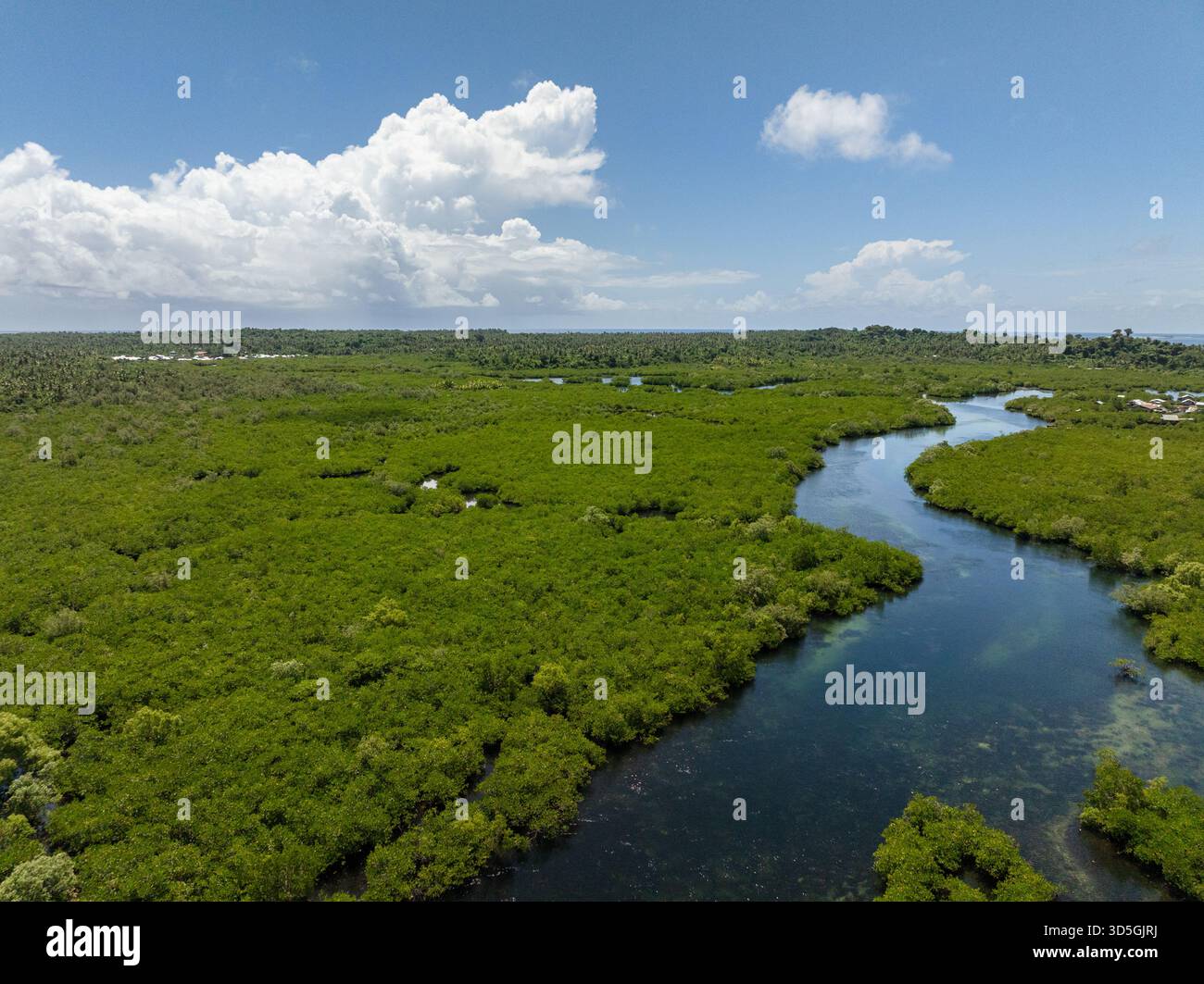 Fiume blu che si piega attraverso una fitta foresta di mangrovie con orizzonte sullo sfondo. Siargao, Filippine. Foto Stock