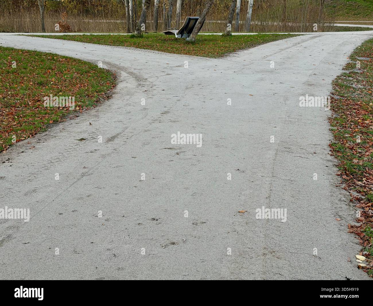 11.15.2025 - Handewitt, Germania. Nuovo sentiero per le persone al Buerger Park Foto Stock