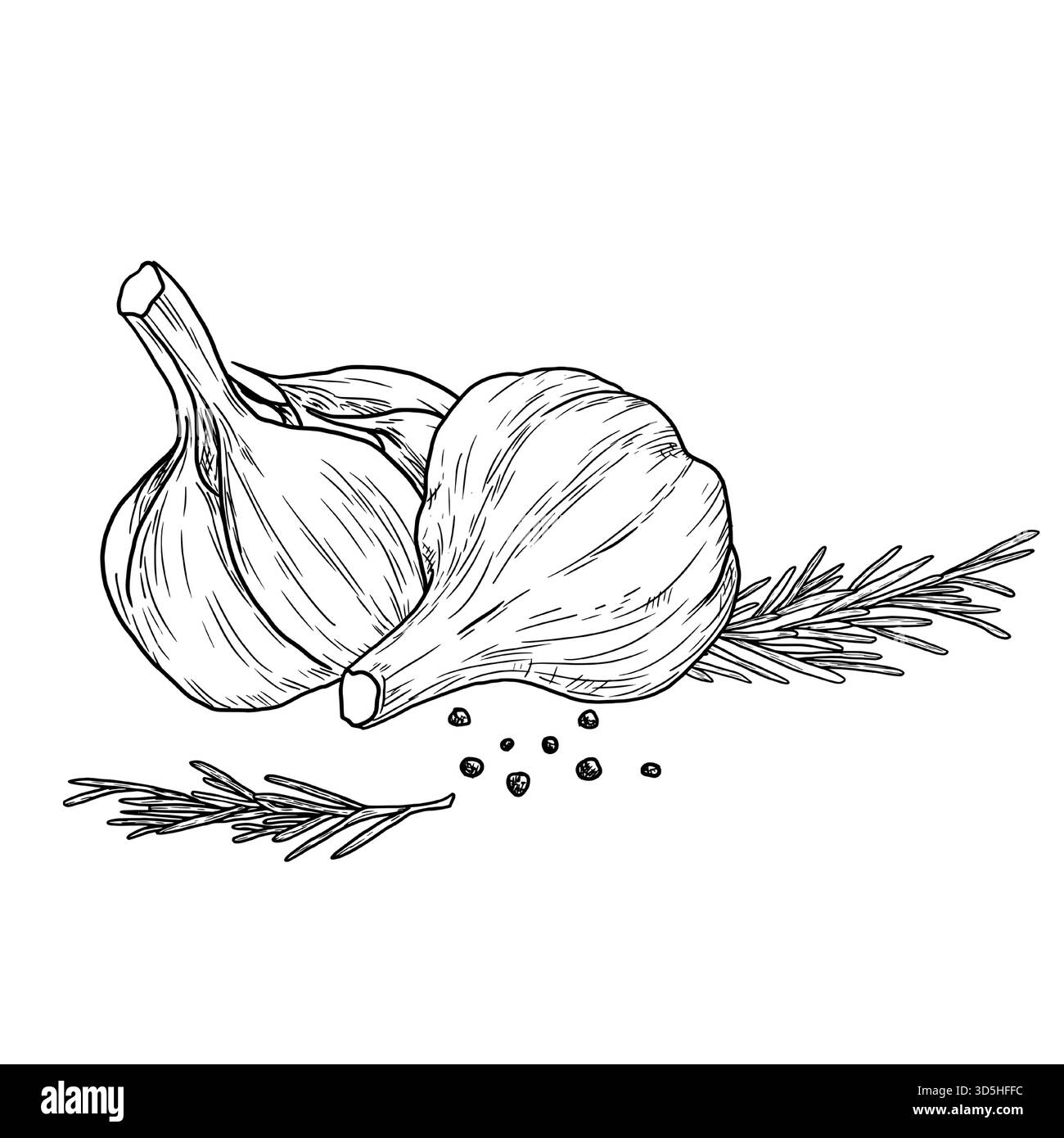 Bulbo d'aglio e rametto di rosmarino, schizzo bianco e nero. Illustrazione vettoriale. Verdure e peperoni caldi, spezie, isolate su sfondo bianco. Suitab Illustrazione Vettoriale