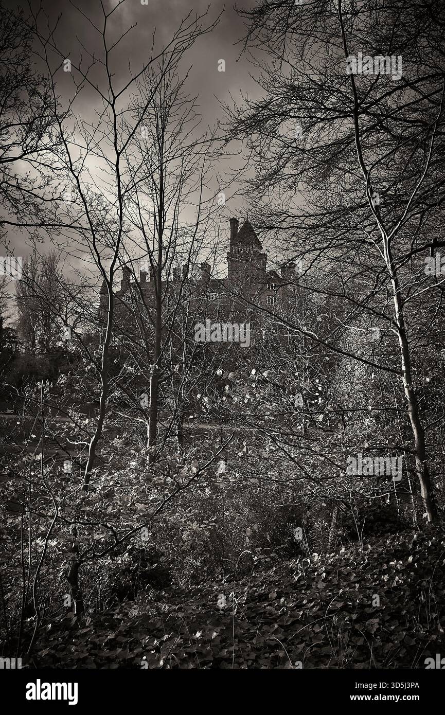 L'ex Park Hotel si vede tra gli alberi da Avenham Park, Preston, Regno Unito Foto Stock