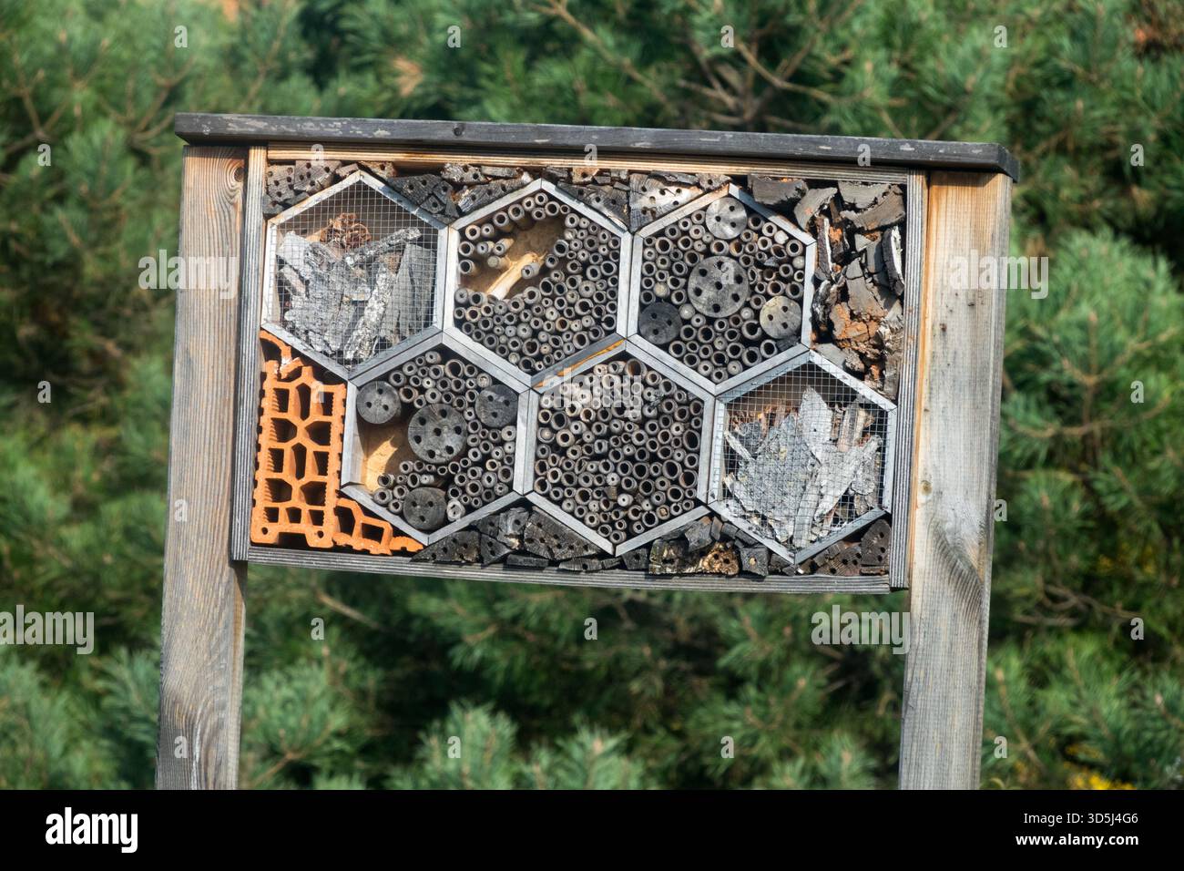 Hotel di insetti per api solitarie nidificate in materiali diversi, spazi vuoti cavità tane mattoni di costruzione blocchi artificiali Foto Stock