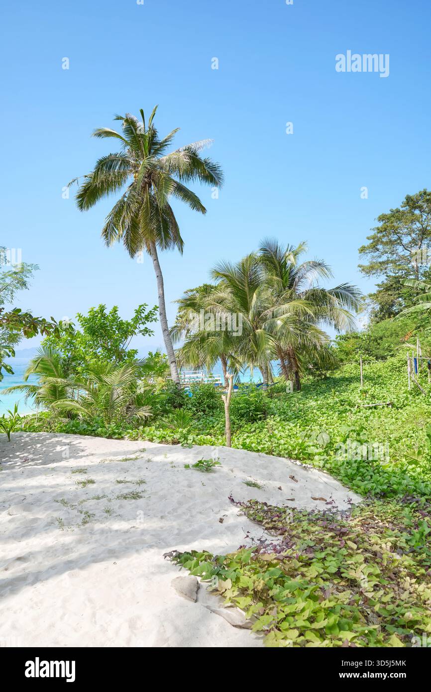 Splendida spiaggia tropicale nelle Filippine. Foto Stock