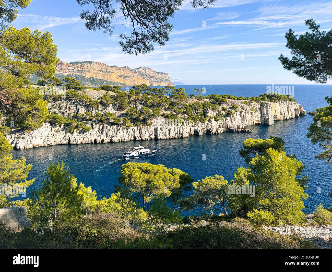 Calanque d'en vau con una barca e alberi di pino, che mostrano un bellissimo paesaggio mediterraneo Foto Stock
