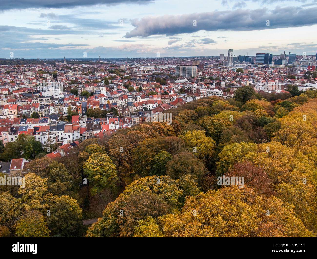 Il panorama della città di Bruxelles con alberi autunnali dalla basilica di koekelberg offre un concetto urbano autunnale Foto Stock
