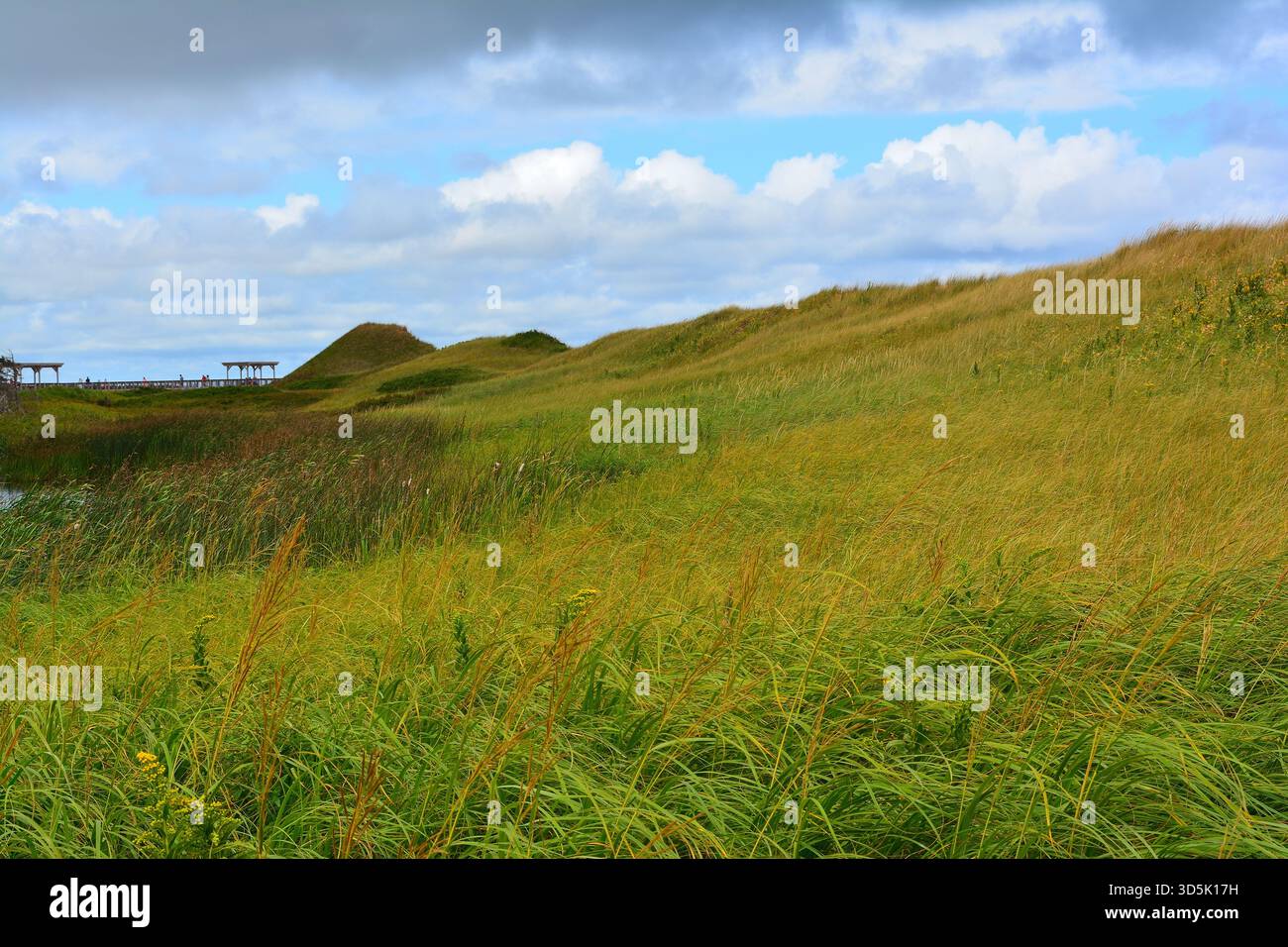 Dune costiere di erba sotto il cielo nuvoloso Foto Stock