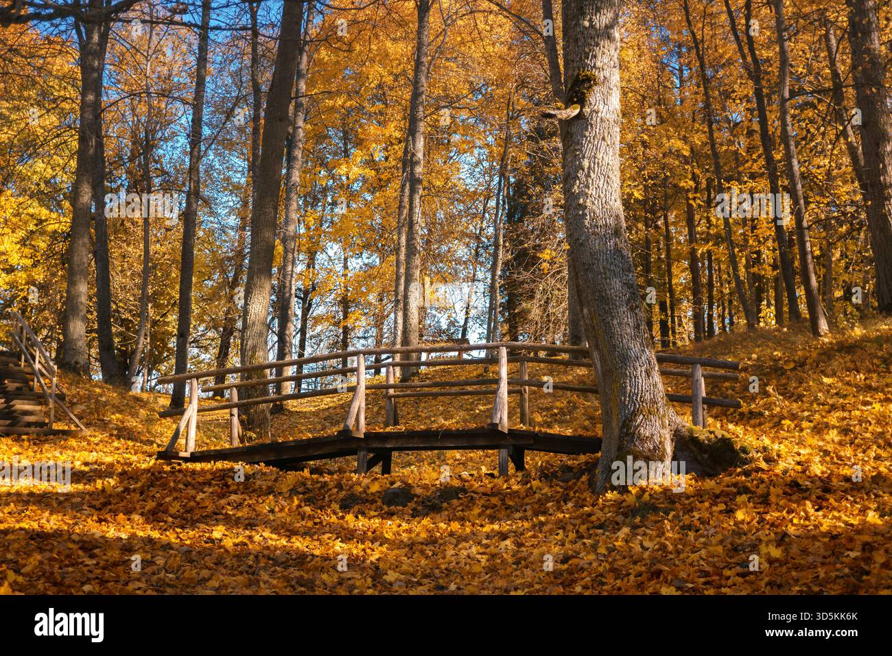 Un piccolo ponte di legno si estende su una gola, circondato da un tappeto di foglie d'autunno dorate in un parco. Simboleggia viaggio, solitudine, fuga e natura Foto Stock