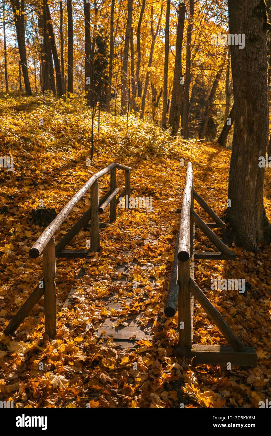 Un piccolo ponte di legno si estende su una gola, circondato da un tappeto di foglie d'autunno dorate in un parco. Simboleggia viaggio, solitudine, fuga e natura Foto Stock