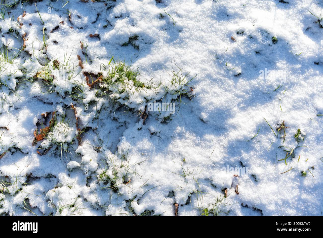 Una vista ravvicinata del terreno innevato che mostra la sua struttura unica insieme alle foglie cadute sotto di esso Foto Stock