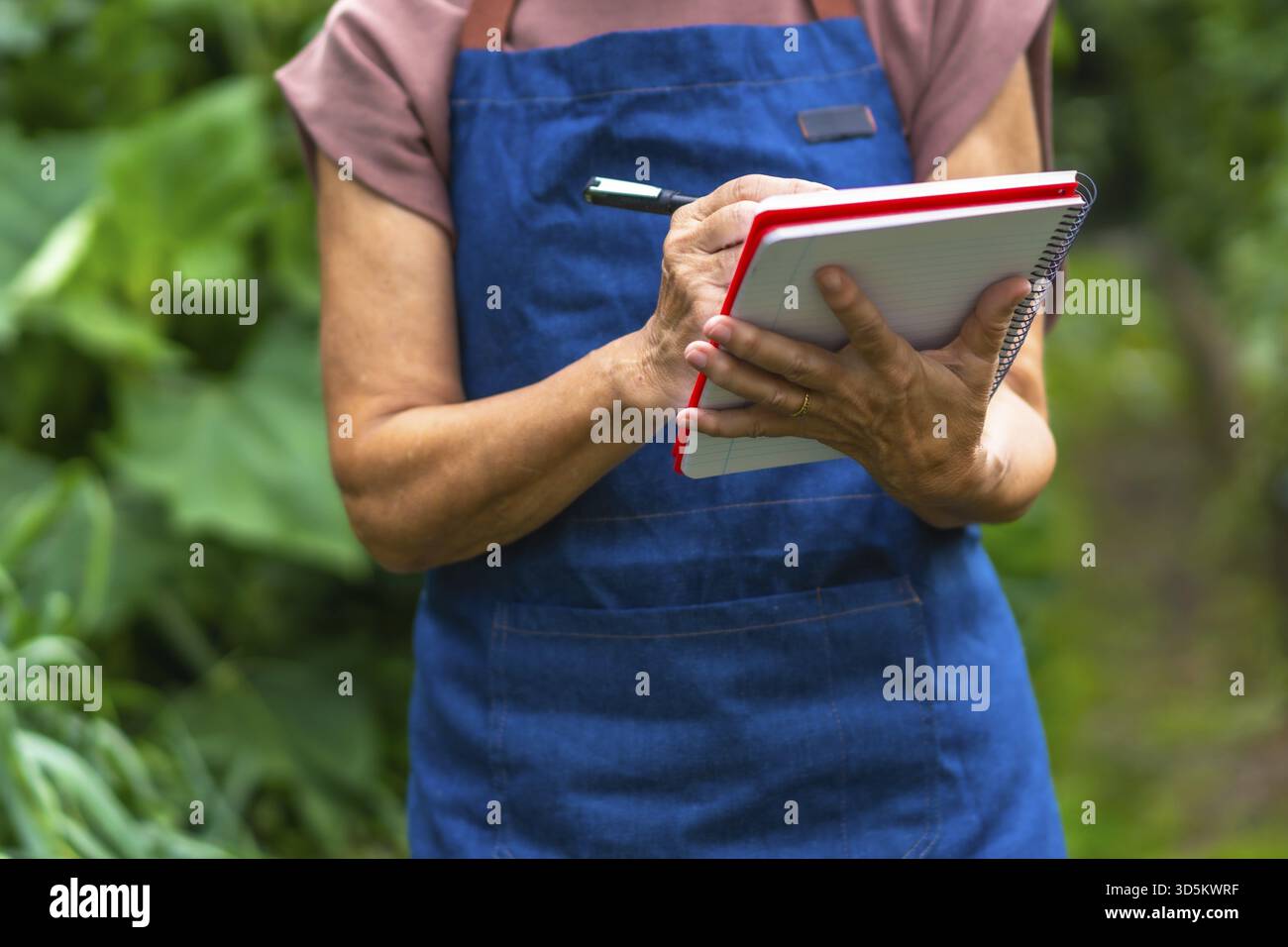 Donna anziana in grembiule con penna e taccuino, che registra attentamente osservazioni e dati sulle fiorenti piante verdi nel suo giardino di giardino biologico Foto Stock
