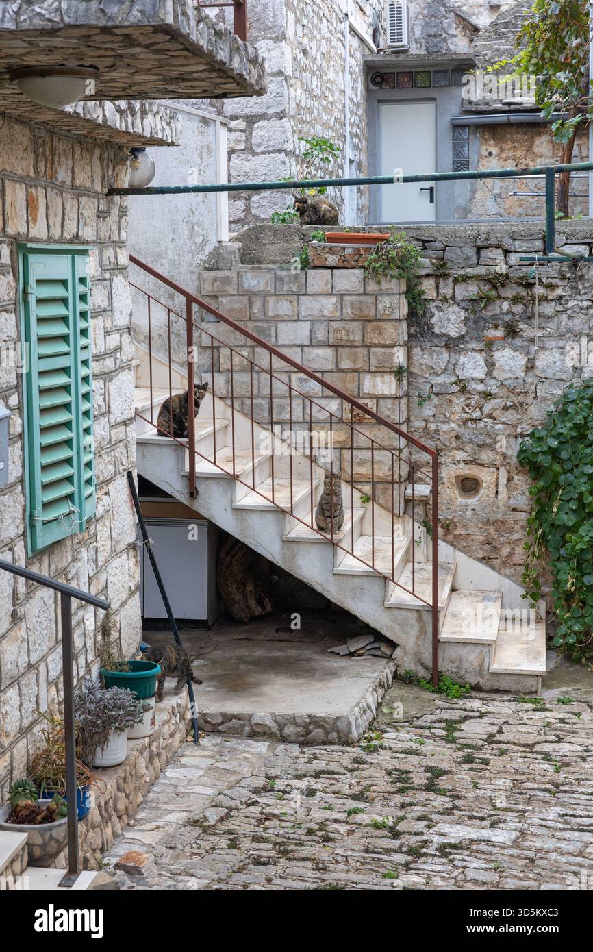 Un pittoresco cortile in pietra presenta pareti intemprate, una scalinata, piante in vaso e diversi gatti che riposano su gradini. L'ambiente rustico evoca il vecchio mondo Foto Stock