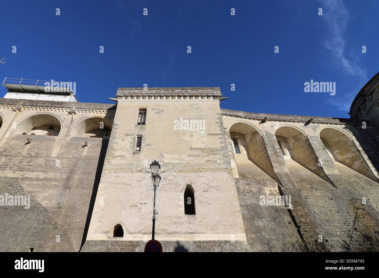 Castello reale di Amboise, vista esterna, città di Amboise, dipartimento dell'Indre-et-Loire, Francia Foto Stock