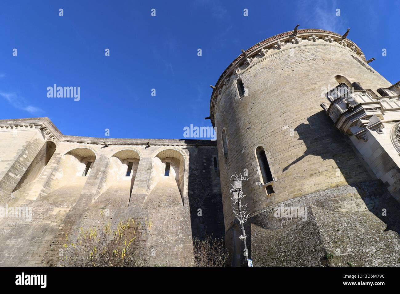 Castello reale di Amboise, vista esterna, città di Amboise, dipartimento dell'Indre-et-Loire, Francia Foto Stock