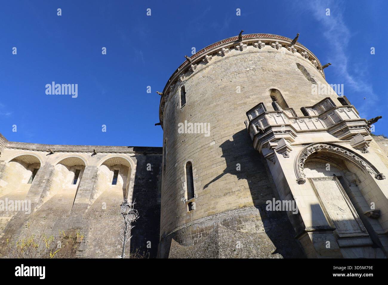 Castello reale di Amboise, vista esterna, città di Amboise, dipartimento dell'Indre-et-Loire, Francia Foto Stock