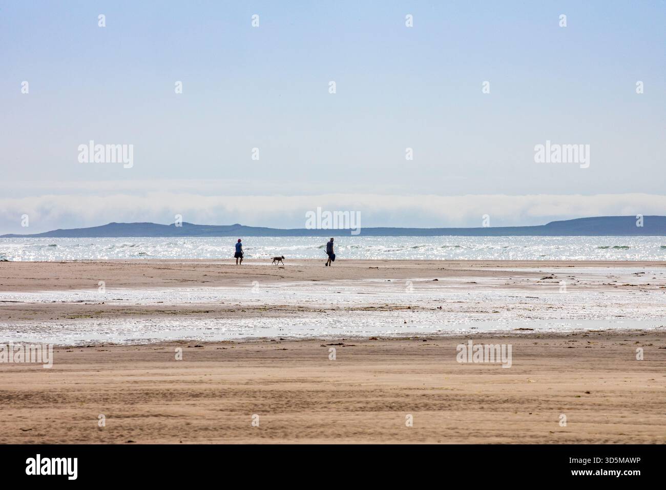 due persone e un cane sulla spiaggia remota Foto Stock