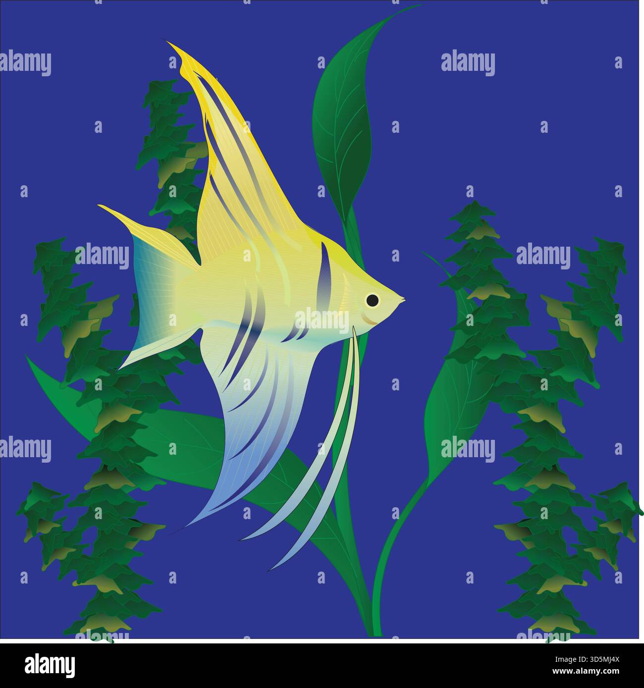 Pesci angelo e piante Illustrazione Vettoriale