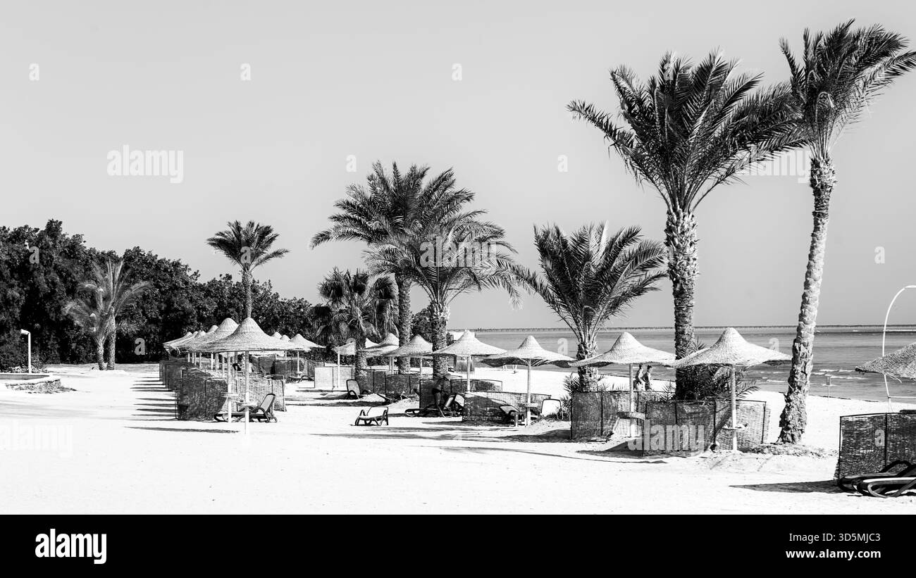 Una vista in bianco e nero della spiaggia di un hotel in Egitto mostra una costa tranquilla e organizzata con servizi del resort ordinati. I toni monocromatici enfatizzano Foto Stock