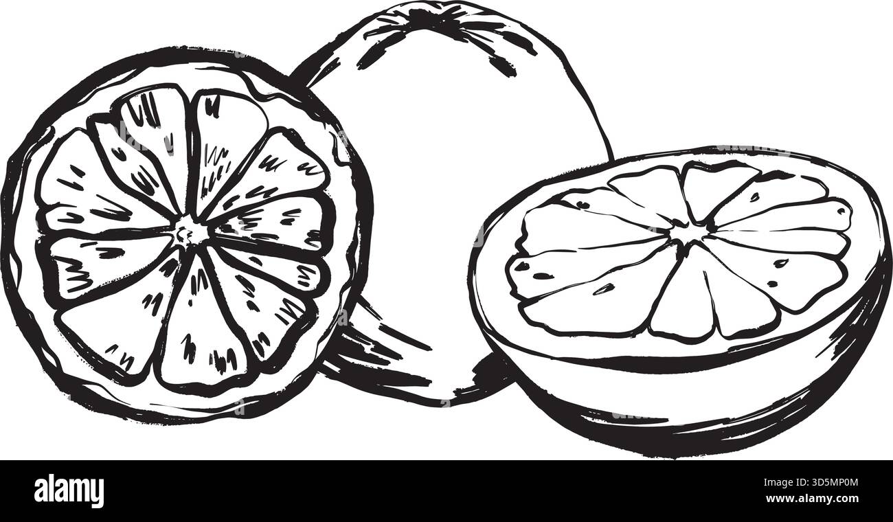 Metà di agrumi a inchiostro sciolto con segmenti visibili e crosta testurizzata per un aroma saporito e una fresca energia per la colazione, illustrazione vettoriale in bianco e nero disegnata a mano in stile line art. Illustrazione Vettoriale