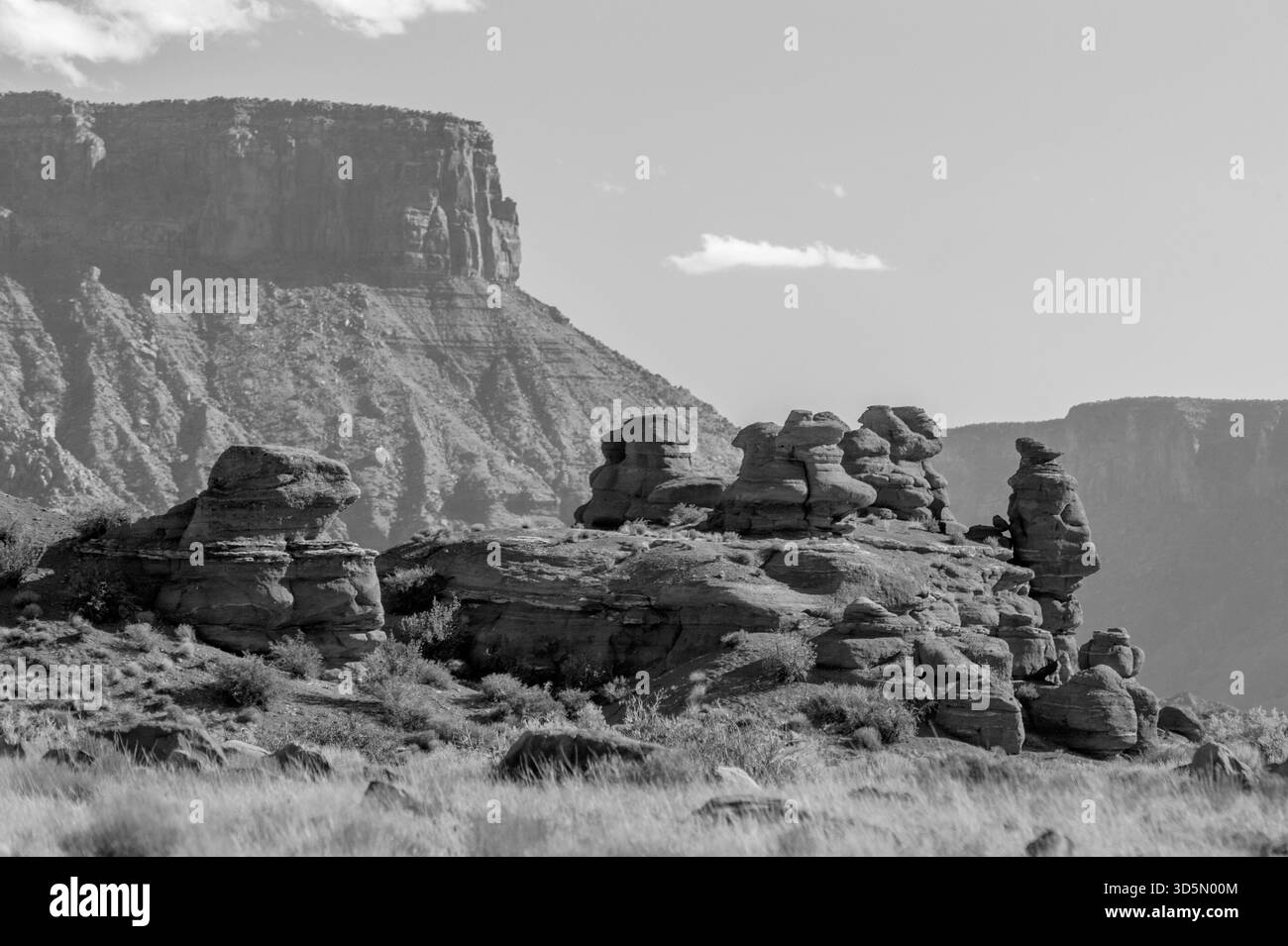 Monocromatico - hoodoos ai piedi delle Fisher Towers dello Utah Foto Stock