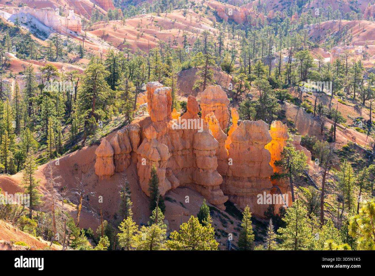 Vista del Bryce Canyon National Park nel sud dello Utah, Stati Uniti. Foto Stock