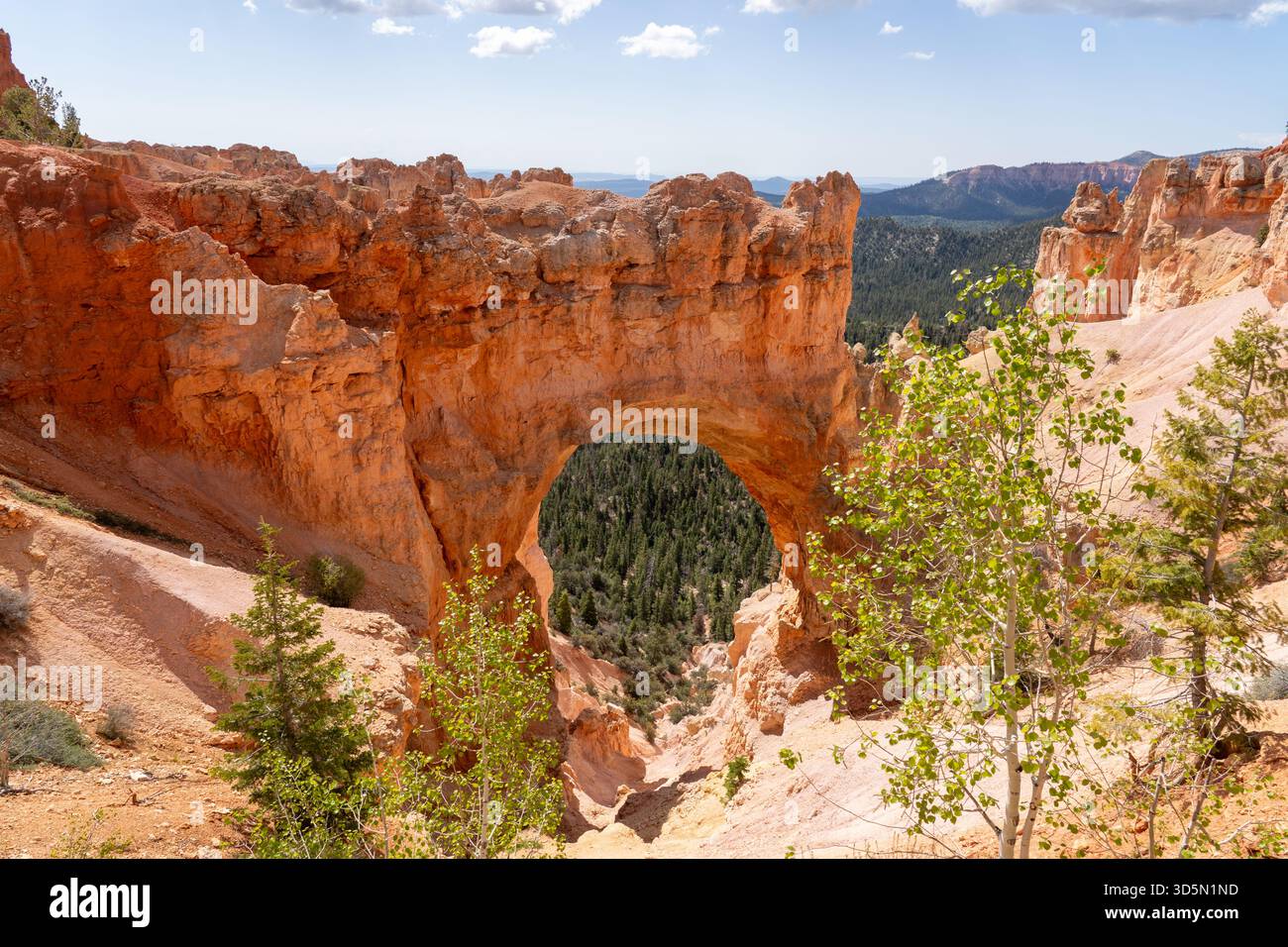 Vista del Bryce Canyon National Park nel sud dello Utah, Stati Uniti. Foto Stock