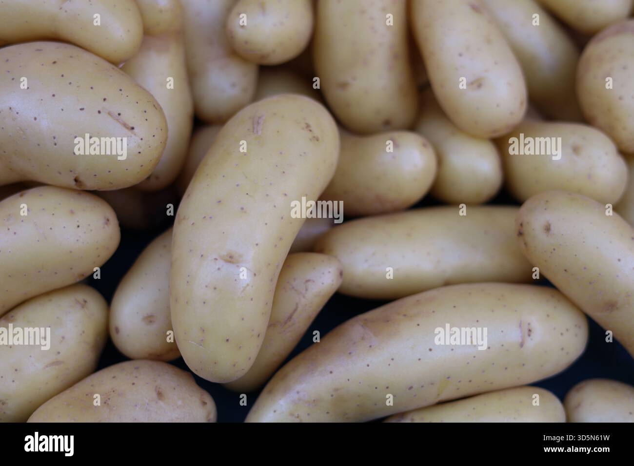 Patate biologiche esposte nell'esposizione del mercato da azienda a tavola Foto Stock